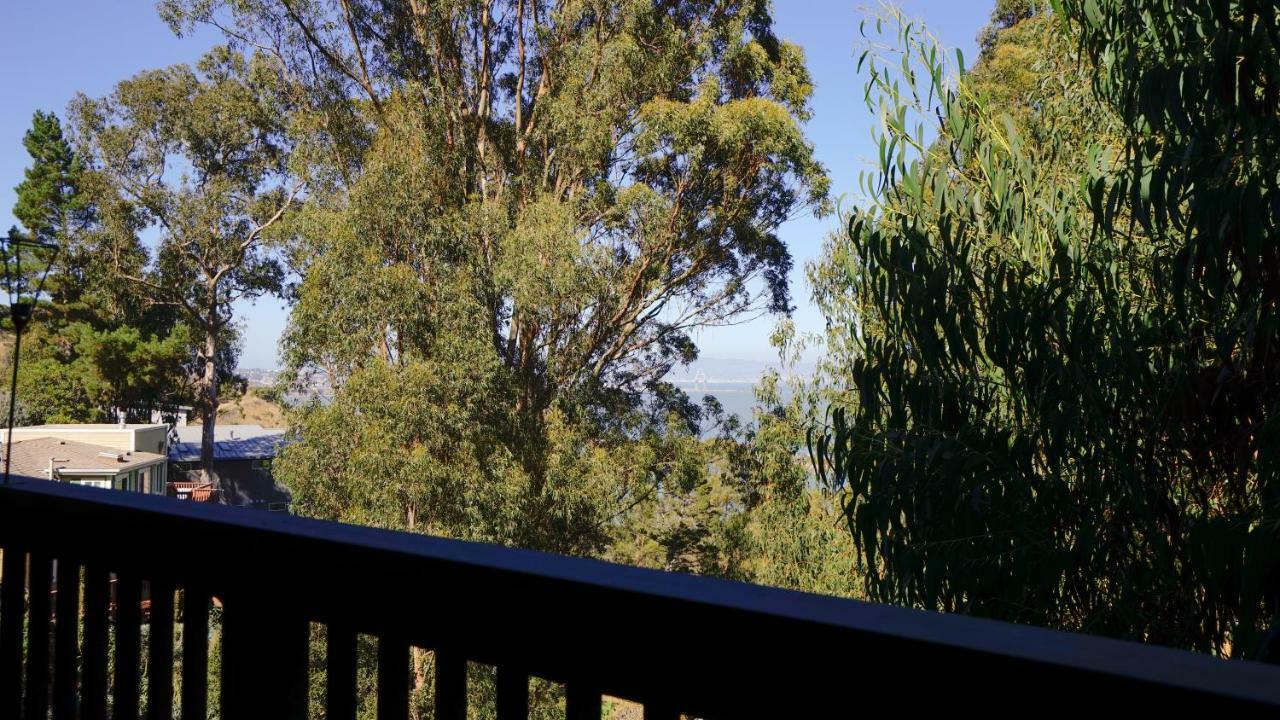 Vila @ Marbella Lane Eco Friendly Treehouse, Sfo Brisbane Exteriér fotografie
